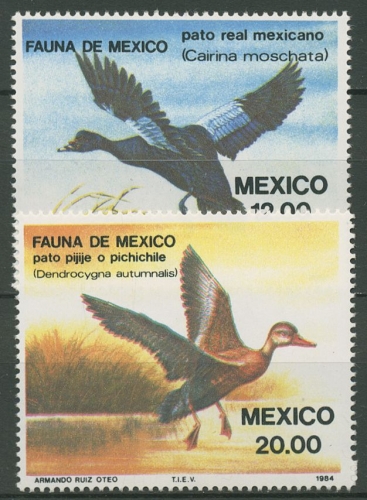 Mexiko 1984 Tiere Vögel Enten 1893/94 postfrisch