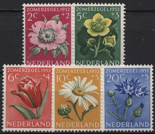 Niederlande 1952 Sommermarken Blumen 588/92 postfrisch