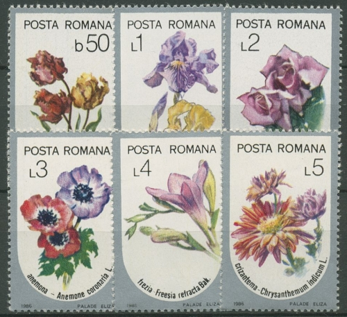 Rumänien 1986 Pflanzen Gartenblumen 4268/73 postfrisch