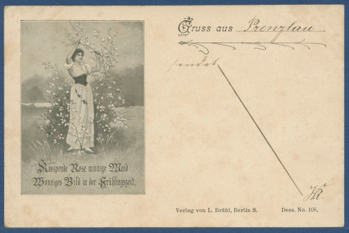 Gruß aus "Prenzlau" Rosenstrauch, gelaufen 1899 (AK3482)