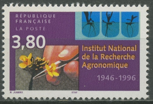 Frankreich 1996 Agrarforschung Rapsblüte 3149 postfrisch