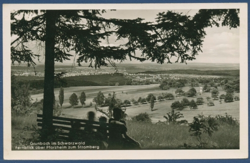 Grunbach im Schwarzwald Fernblick über Pforzheim, ungebraucht (AK3824)