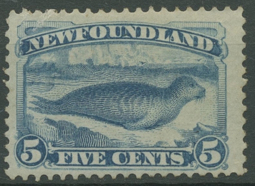 Neufundland 1880 Seehund 34 c mit Falz, kleine Fehler