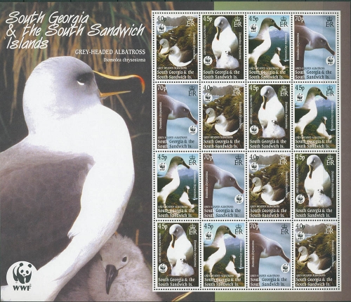 Südgeorgien 2003 WWF Graukopfalbatros 357/60 Kleinbogen postfrisch (SG21510)