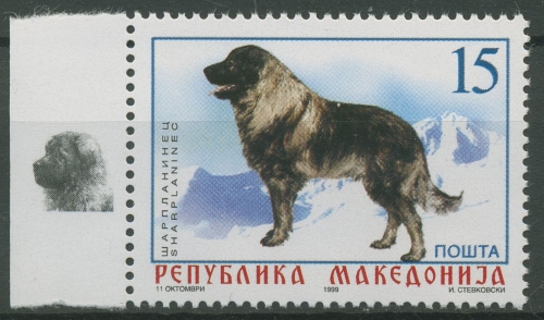 Makedonien 1999 Tiere Hunde Hütehund 150 postfrisch