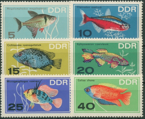 DDR 1966 Tiere Fische Zierfische 1221/26 postfrisch