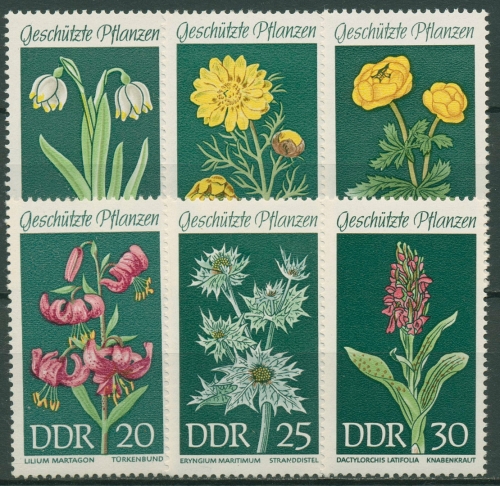 DDR 1969 Pflanzen Blumen 1456/61 postfrisch