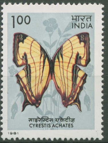 Indien 1981 Tiere Insekten Schmetterlinge 884 postfrisch