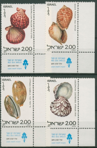 Israel 1977 Tiere Rotes Meer Muscheln Schnecken 726/29 Ecken mit Tab postfrisch