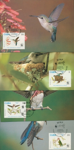 Kuba 1992 WWF Kolibris 3589/92 Maximumkarten (G9536)