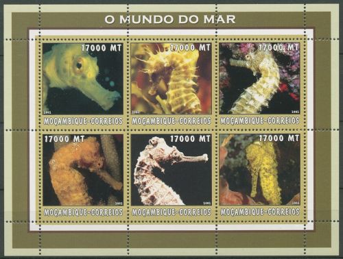 Mocambique 2002 Welt der Meere Seepferdchen 2632/37 K postfrisch (C40246)