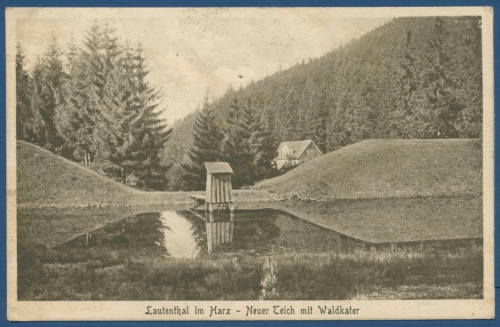 Lautenthal im Harz Neuer Teich Hotel Waldkater Bergbau, gelaufen 1926 (AK184)