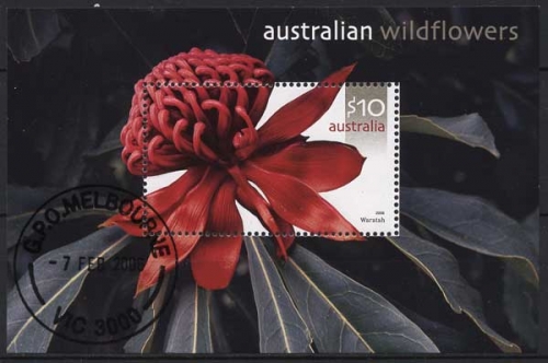 Australien 2006 Wildblumen Waratah Block 58 gestempelt (C24227)