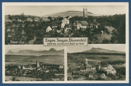 Engen Tengen Blumenfeld, ungebraucht (AK391)