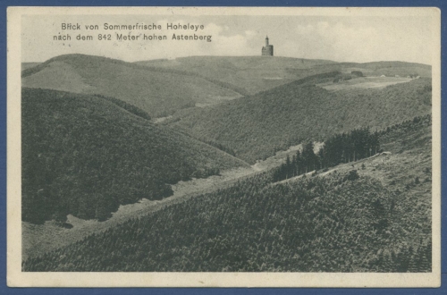 Blick von Sommerfrische Hoheleye zum Astenberg Sauerland, gelaufen 1913 (AK600)