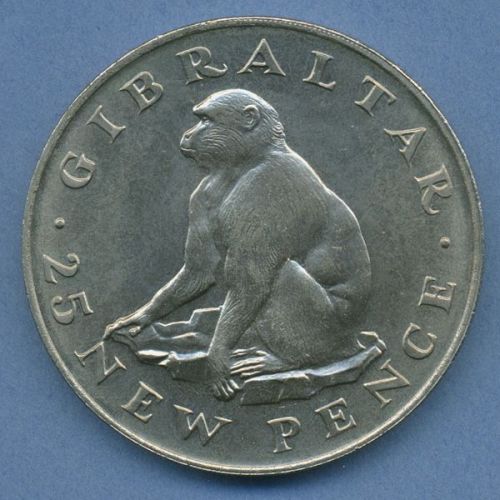 Gibraltar 25 New Pence 1971 Berberaffe KM 5 vz/st (m4826)