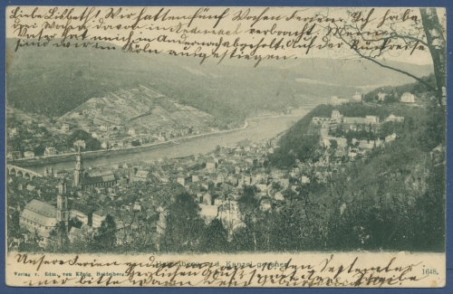 Heidelberg von der Kanzel gesehen Neckar Stadt und Schloß, gelaufen 1903 (AK707)