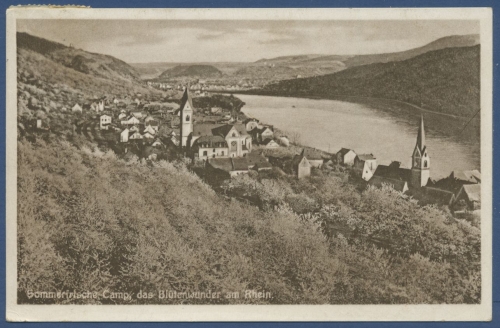 Kamp das Blütenwunder am Rhein Hotel Deutsches Haus K. Kimmel, gelaufen (AK705)