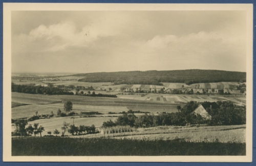 Bückeburg Forsthaus Harrl von Schinken-Kruse gesehen Foto, ungebraucht (AK804)