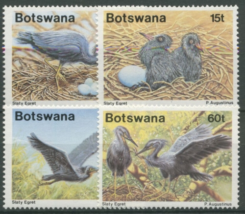 Botswana 1989 Vögel Braunkehlreiher 455/58 postfrisch