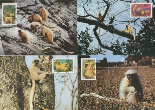 Bhutan 1982 WWF Affen Maximumkarten 840/43 MK (X11620)