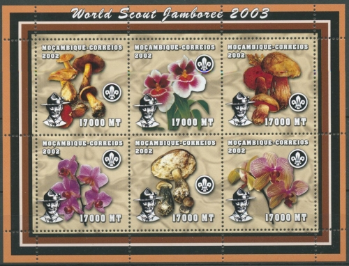 Mocambique 2002 Orchideen und Pilze Kleinbogen 2464/69 K postfrisch (C26583)