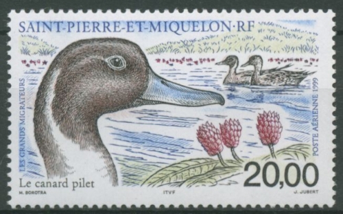 Saint-Pierre et Miquelon 1999 Zugvögel Spießente 776 postfrisch