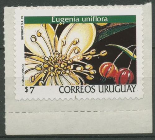 Uruguay 1999 Freimarke Blüten Pitanga 2431 postfrisch