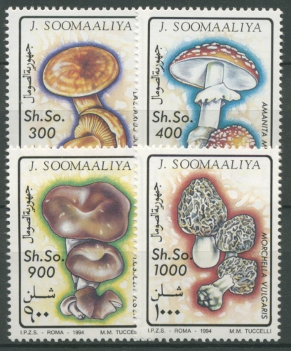 Somalia 1994 Pilze Fliegenpilz Morchel 503/06 postfrisch