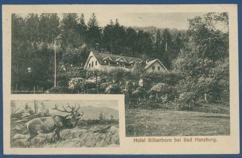 Hotel Silberborn bei Bad Harzburg, gelaufen 1922 (AK4580)