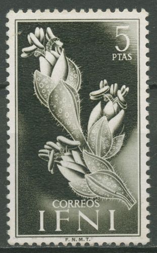 Marokko Ifni 1954 Flora und Fauna Traganum 142 mit Falz