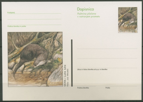 Slowenien 1997 Naturschutz: Otter Postkarte P 49 ungebraucht (X6263)