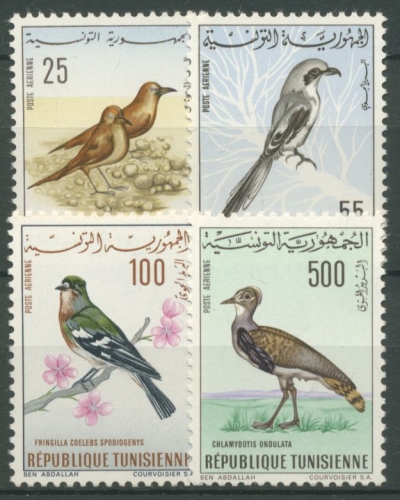 Tunesien 1965 Vögel Raubwürger Kragentrappe Buchfink 639/42 postfrisch