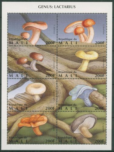Mali 1996 Pilze 1480/87 K postfrisch (C62449)