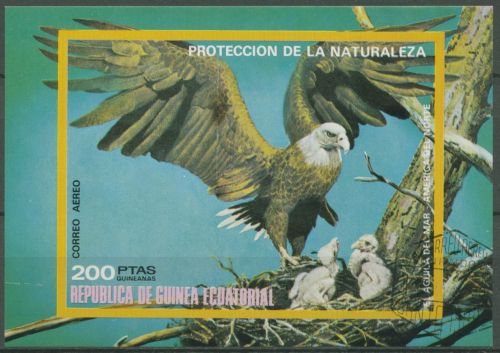 Äquatorialguinea 1976 Tiere Nordamerikani. Vögel Block 251 gestempelt (C62593)