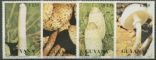 Guyana 1990 Pilze: Schopftintling, Schüppling 3287/90 postfrisch