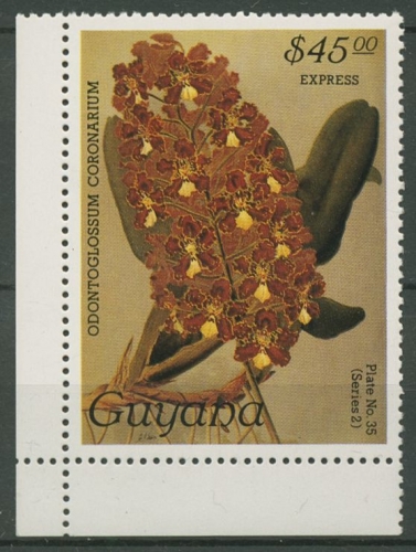 Guyana 1987 Orchideen aus dem Werk "Reichenbachia" 1929 postfrisch