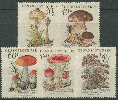 Tschechoslowakei 1958 Pilze Parasol, Steinpilz, Rotkappe 1101/05 postfrisch