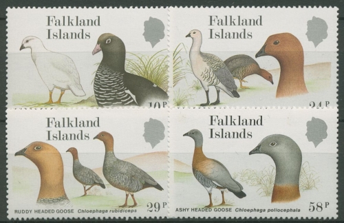 Falkland-Inseln 1988 Gänse: Kelbgans, Rotkopfgans 480/83 postfrisch