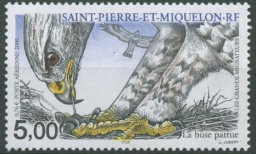 Saint-Pierre et Miquelon 2000 Zugvögel Rauhfußbussard 821 postfrisch