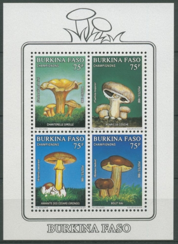Burkina Faso 1990 Pilze Champignon Marone Block 134 postfrisch (C23706)