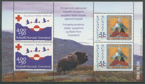 Grönland 1993 Rotes Kreuz und Pfadfinder Block 4 postfrisch (C13826)