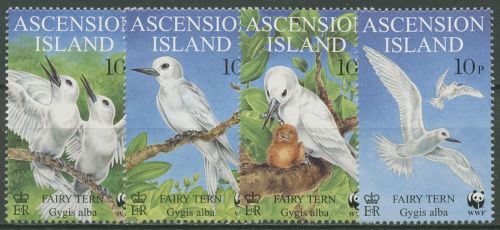 Ascension 1999 WWF Naturschutz Feenseeschwalbe 786/89 postfrisch