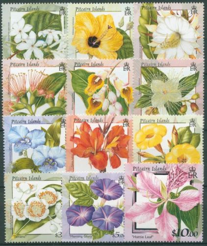 Pitcairn 2000 Blumen und Blüten 552/63 postfrisch
