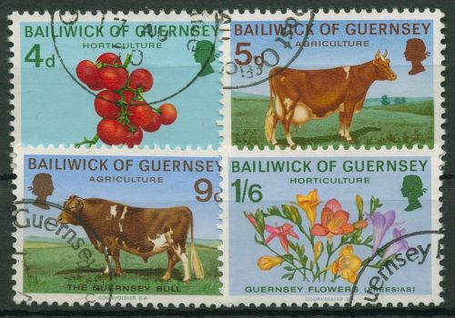 Guernsey 1970 Landwirtschaft Kühe Tomaten Blumen 31/34 gestempelt