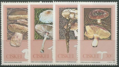 Ciskei 1987 Eßbare Pilze Steinpilz 110/13 postfrisch