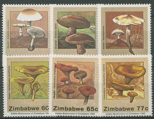 Simbabwe 1992 Speisepilze Steinpilz Pfifferling 476/81 postfrisch