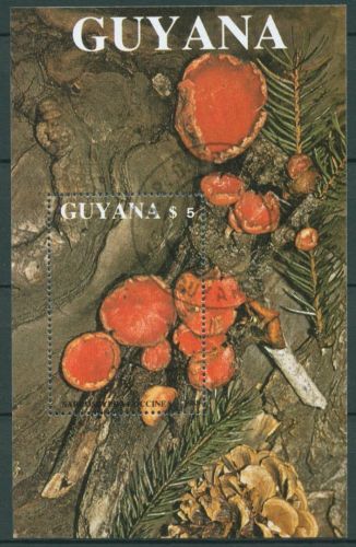 Guyana 1989 Pilze Zinnoberroter Kelchbecherling Block 37 gestempelt (C63258)
