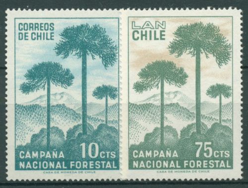 Chile 1967 Aufforstung Wald Bäume Konifere Araukaie 663/64 postfrisch