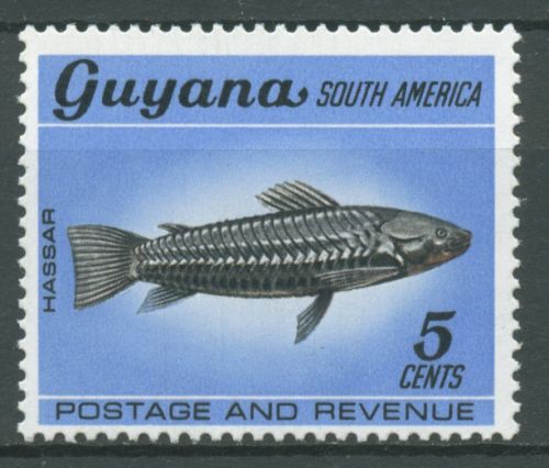Guyana 1968 Einheimische Tierwelt Fisch Panzerwels 304 postfrisch